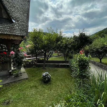 Guest house Zambru - Catun
